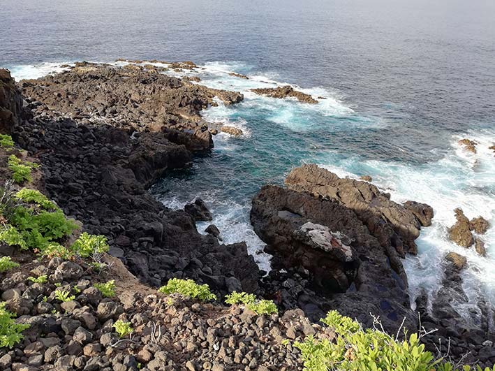 Costa Del Norte de Tenerife