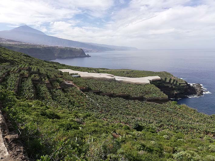 naturschutzgebiet-costa-de-acentejo