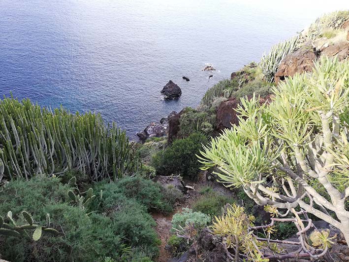 naturschutzgebiet-costa-acentejo