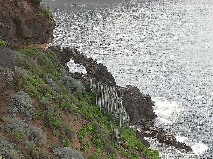 Costa Acentejo en Tenerife