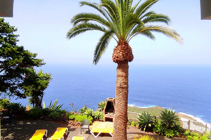 Blick auf Palmen und Atlantik von der Ferienwohnung Turmwohnung Teneriffa