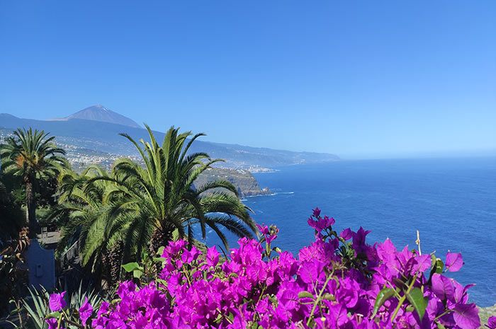 Ferienstudio-Teneriffa-Meerblick-mit-Aussicht-auf-Palmen-Atlantik-und-den-Vulkan-Teide.jpg