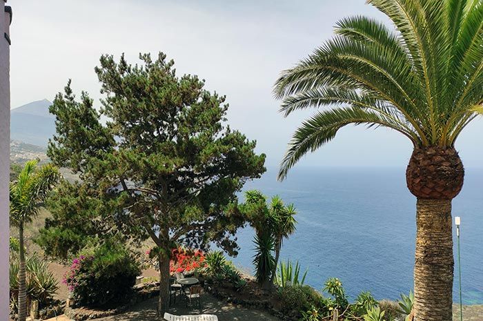Garten mit Palmen und Meerblick bei der Ferienwohnung Turmwohnung Teneriffa