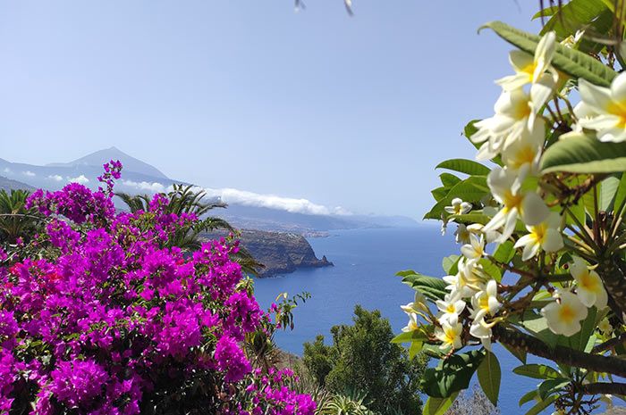 Ferienhäuser Teneriffa Nord – Chalet C, Studio mit Grill und Panoramablick aufs Meer