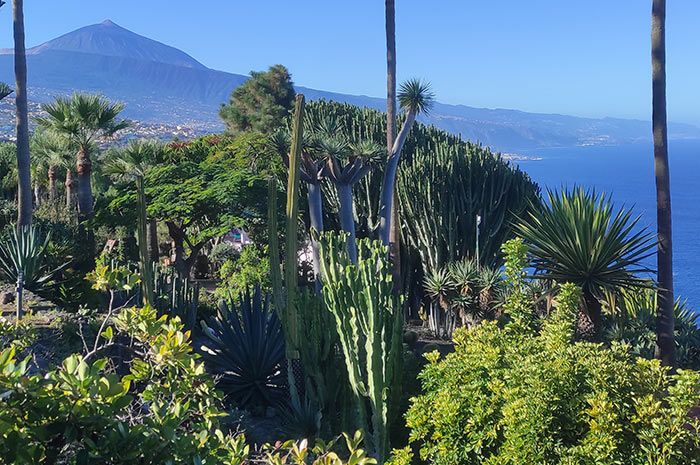 Panoramablick vom Familienchalet Faisan Azul Teneriffa auf Atlantik, Küste und Vulkan