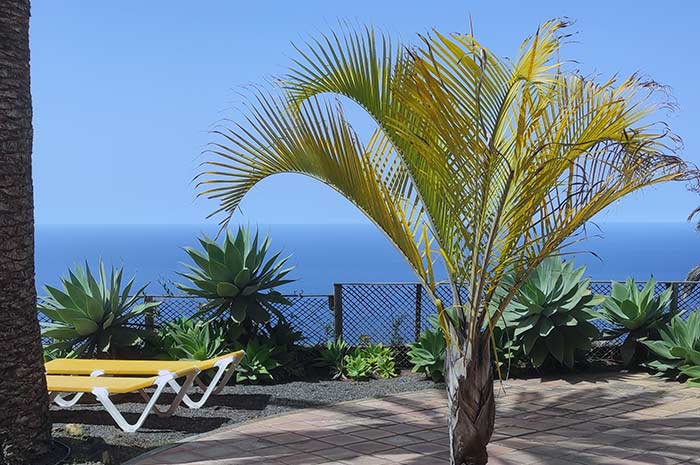 Terrasse mit Sonnenliegen und Meerblick bei der Ferienwohnung Turmwohnung Teneriffa