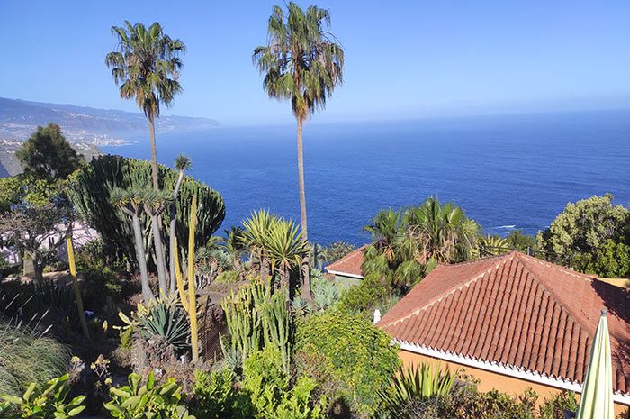 Tropischer-Garten-mit-Gemeinschaftspool-im-Familienchalet-Faisan-Azul-Teneriffa