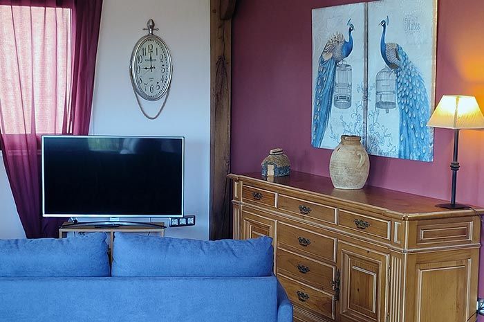 Wohnzimmer der Villa Faisan Teneriffa mit Fernseher und dekorativen Fasan-Bildern