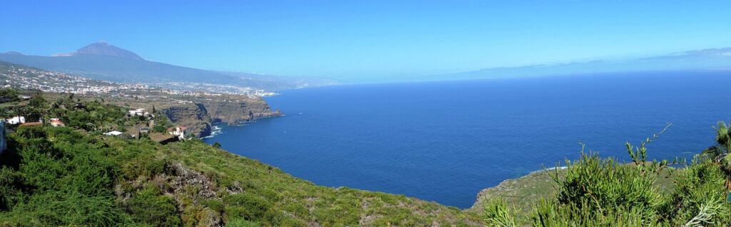 Faisán Azul Tenerife North